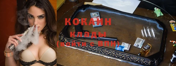 индика Богородск