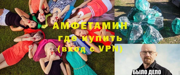 индика Богородск