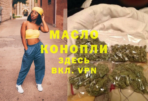 индика Богородск