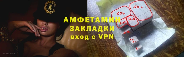 индика Богородск
