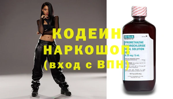 индика Богородск