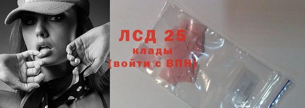 индика Богородск