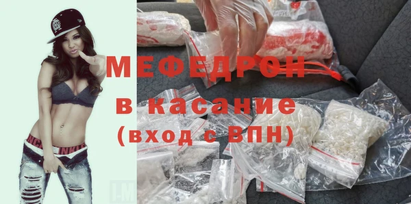 индика Богородск