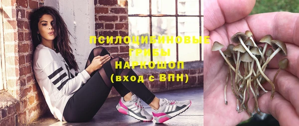 индика Богородск