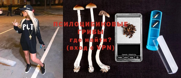 индика Богородск