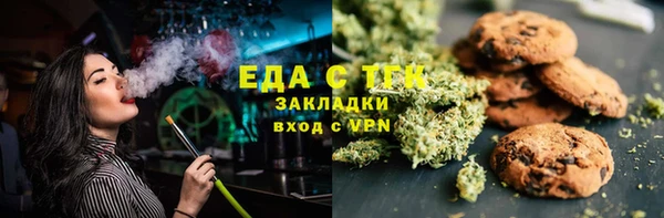 индика Богородск