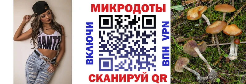 купить закладку  Кореновск  Галлюциногенные грибы Magic Shrooms 